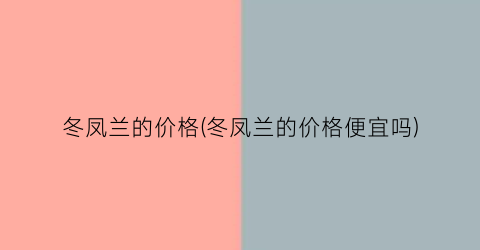 冬凤兰的价格(冬凤兰的价格便宜吗)