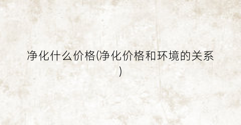 净化什么价格(净化价格和环境的关系)
