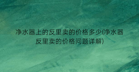 “净水器上的反里卖的价格多少(净水器反里卖的价格问题详解)