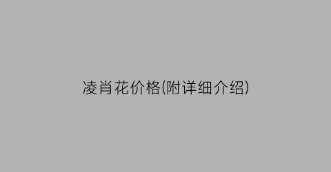 凌肖花价格(附详细介绍)
