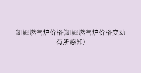 凯姆燃气炉价格(凯姆燃气炉价格变动有所感知)