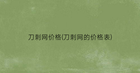 刀刺网价格(刀刺网的价格表)