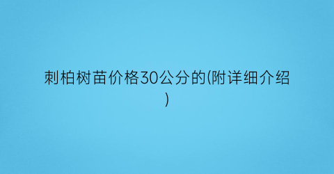 刺柏树苗价格30公分的(附详细介绍)