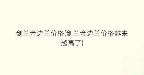 剑兰金边兰价格(剑兰金边兰价格越来越高了)