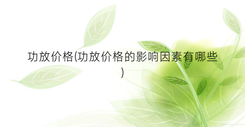 功放价格(功放价格的影响因素有哪些)