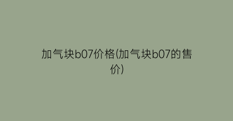 加气块b07价格(加气块b07的售价)