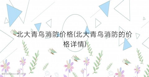 北大青鸟消防价格(北大青鸟消防的价格详情)