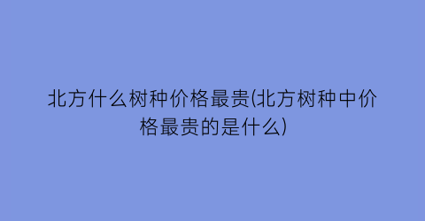 北方什么树种价格最贵(北方树种中价格最贵的是什么)