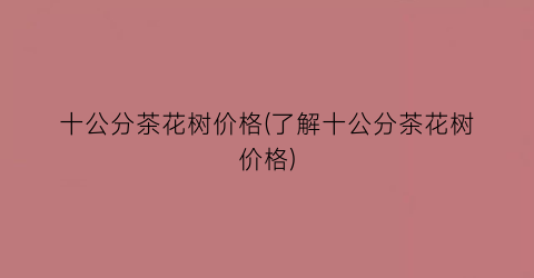 十公分茶花树价格(了解十公分茶花树价格)