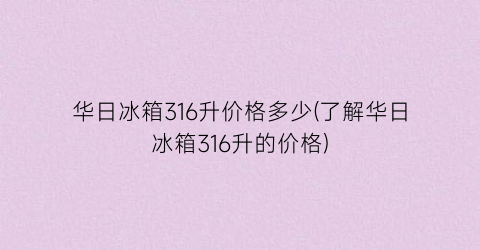 华日冰箱316升价格多少(了解华日冰箱316升的价格)