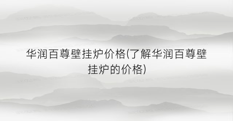 华润百尊壁挂炉价格(了解华润百尊壁挂炉的价格)