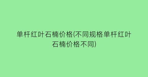 单杆红叶石楠价格(不同规格单杆红叶石楠价格不同)