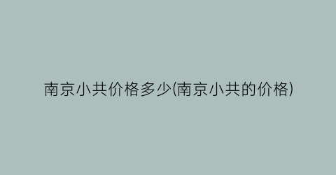南京小共价格多少(南京小共的价格)
