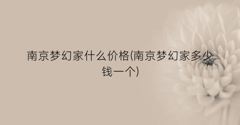 南京梦幻家什么价格(南京梦幻家多少钱一个)