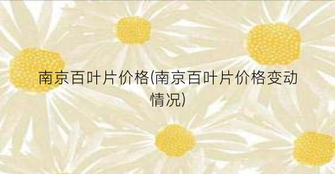 南京百叶片价格(南京百叶片价格变动情况)