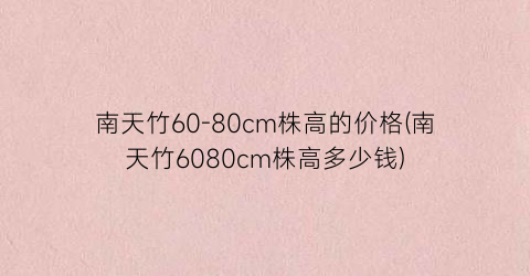 南天竹60-80cm株高的价格(南天竹6080cm株高多少钱)