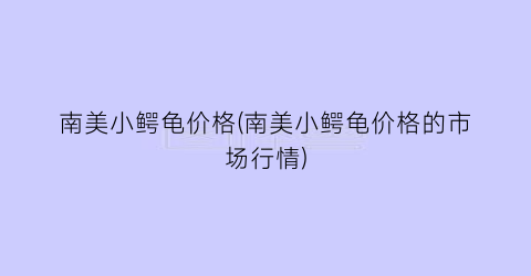 南美小鳄龟价格(南美小鳄龟价格的市场行情)