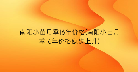 南阳小苗月季16年价格(南阳小苗月季16年价格稳步上升)