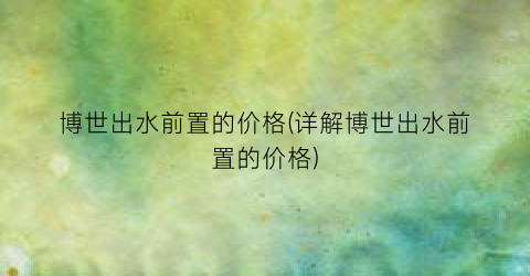 “博世出水前置的价格(详解博世出水前置的价格)