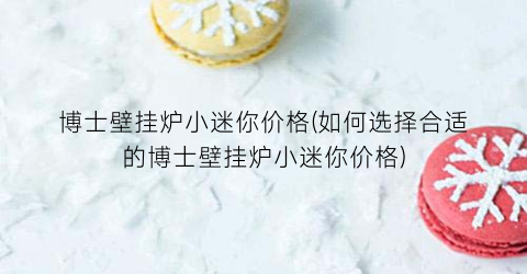 博士壁挂炉小迷你价格(如何选择合适的博士壁挂炉小迷你价格)