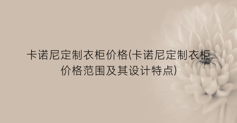 卡诺尼定制衣柜价格(卡诺尼定制衣柜价格范围及其设计特点)