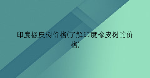 印度橡皮树价格(了解印度橡皮树的价格)