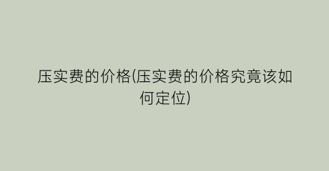 压实费的价格(压实费的价格究竟该如何定位)