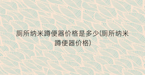 厕所纳米蹲便器价格是多少(厕所纳米蹲便器价格)