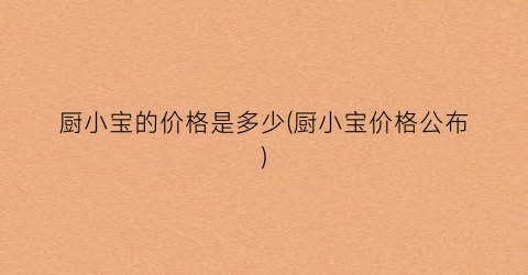 厨小宝的价格是多少(厨小宝价格公布)