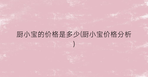 厨小宝的价格是多少(厨小宝价格分析)