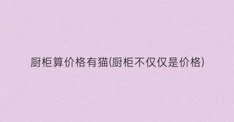 厨柜算价格有猫(厨柜不仅仅是价格)