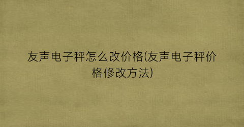 友声电子秤怎么改价格(友声电子秤价格修改方法)