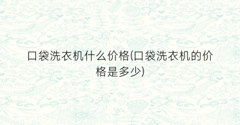 口袋洗衣机什么价格(口袋洗衣机的价格是多少)