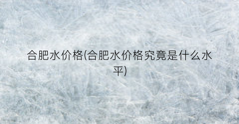 合肥水价格(合肥水价格究竟是什么水平)