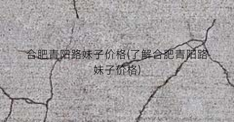 合肥青阳路妹子价格(了解合肥青阳路妹子价格)