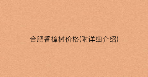 合肥香樟树价格(附详细介绍)