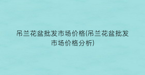 “吊兰花盆批发市场价格(吊兰花盆批发市场价格分析)