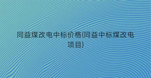 同益煤改电中标价格(同益中标煤改电项目)