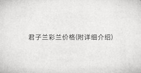 君子兰彩兰价格(附详细介绍)