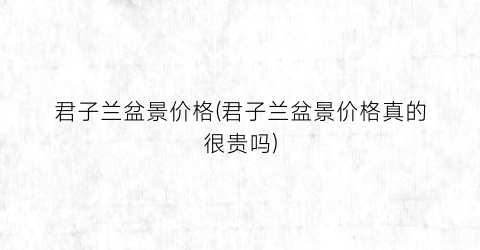 君子兰盆景价格(君子兰盆景价格真的很贵吗)