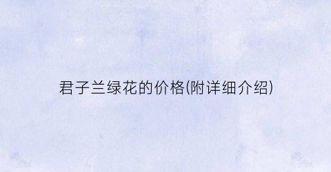 君子兰绿花的价格(附详细介绍)