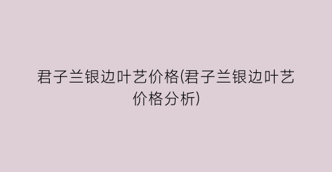 君子兰银边叶艺价格(君子兰银边叶艺价格分析)