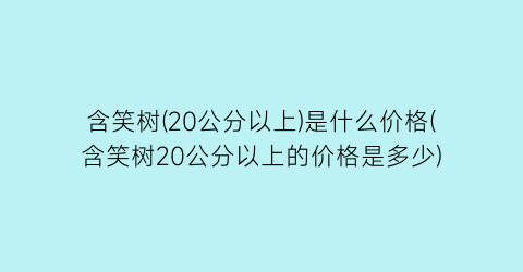 含笑树(20公分以上)是什么价格(含笑树20公分以上的价格是多少)