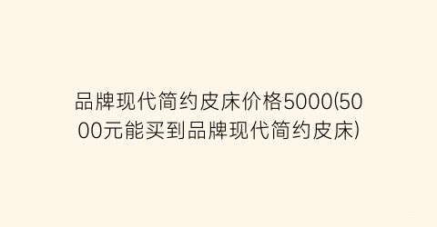 品牌现代简约皮床价格5000(5000元能买到品牌现代简约皮床)