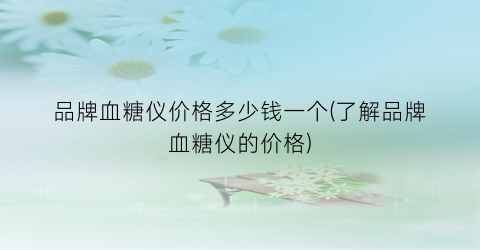 品牌血糖仪价格多少钱一个(了解品牌血糖仪的价格)