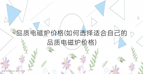 品质电磁炉价格(如何选择适合自己的品质电磁炉价格)