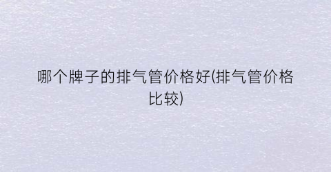 “哪个牌子的排气管价格好(排气管价格比较)