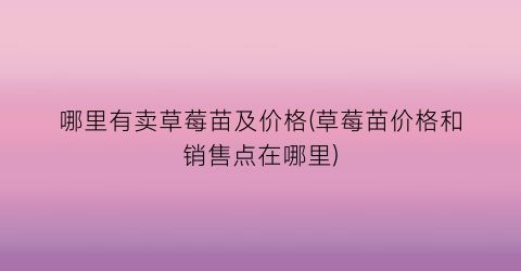 哪里有卖草莓苗及价格(草莓苗价格和销售点在哪里)