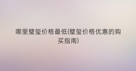 哪里璧玺价格最低(璧玺价格优惠的购买指南)