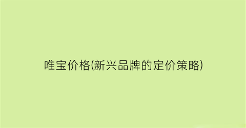 唯宝价格(新兴品牌的定价策略)